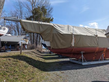 Island Packet 31 image