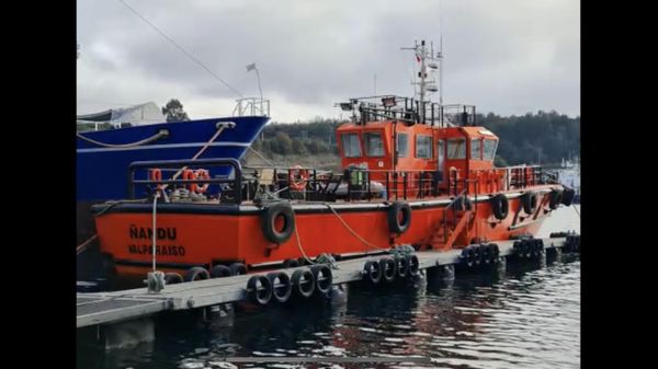Custom pilot boat