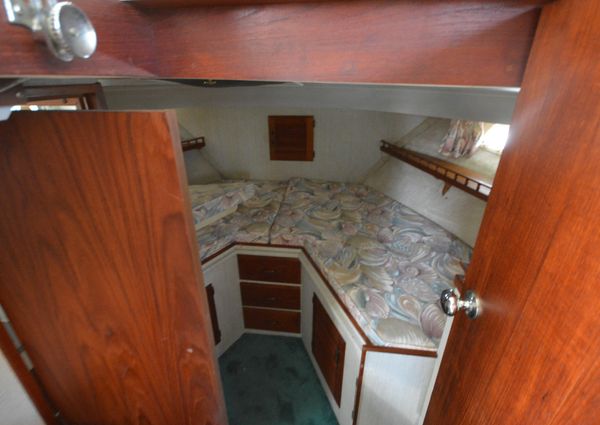 Tollycraft 40-TRI-CABIN-MY image