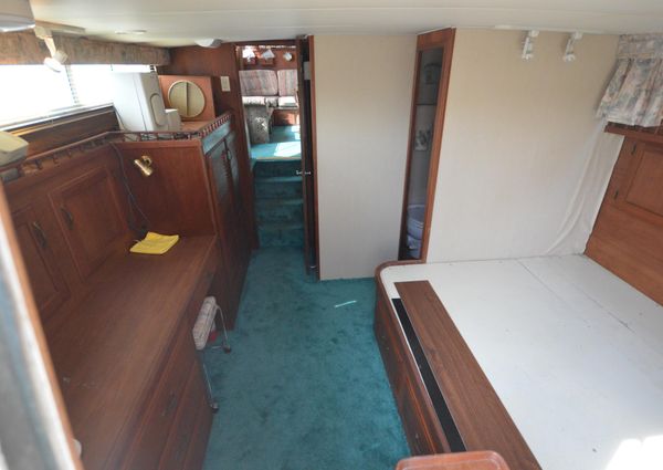 Tollycraft 40-TRI-CABIN-MY image