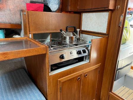 Seaward 23 image