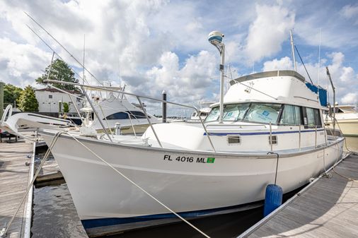 Mainship 34 image