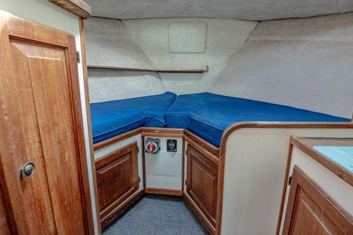 Mainship 34 image