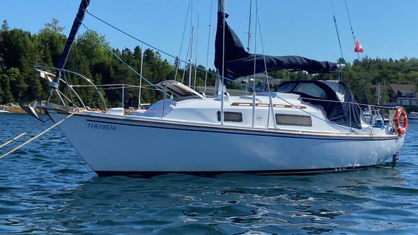 Paceship P29