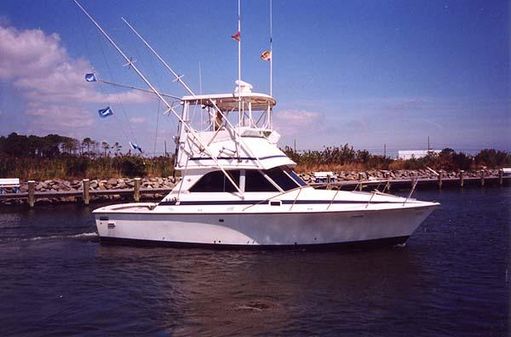 Bertram Sportfish image