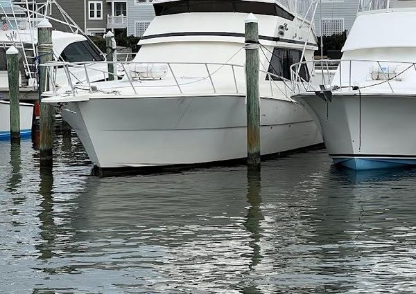 Viking 45 Convertible image