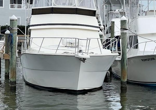 Viking 45 Convertible image