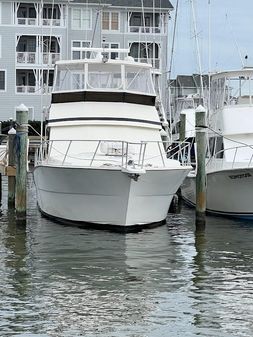 Viking 45 Convertible image