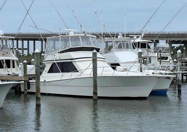 Viking 45 Convertible image