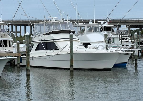 Viking 45 Convertible image