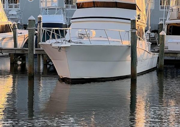 Viking 45 Convertible image