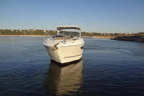 Sea Ray Sundancer 350 image