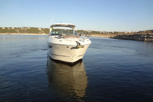 Sea Ray Sundancer 350 image