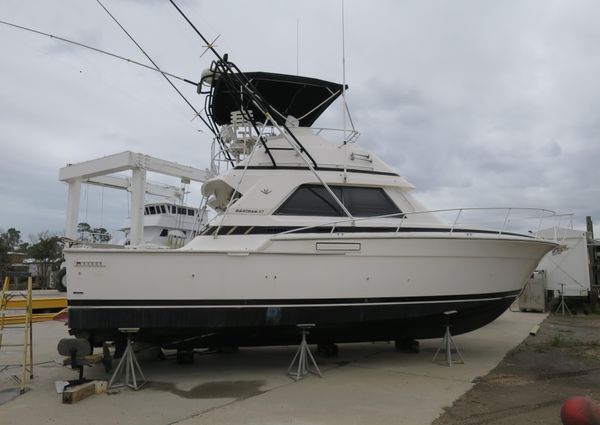 Bertram 37-CONVERTIBLE image