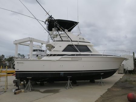 Bertram 37-CONVERTIBLE image