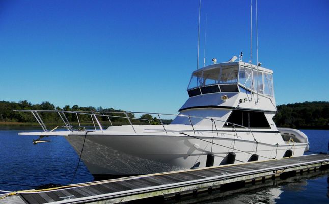 Viking 41-CONV-SPORT-FISHER - main image