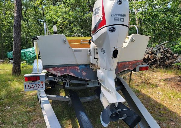 Boston-whaler 17-MONTAUK-2015-E-TEC-90-TEAK image