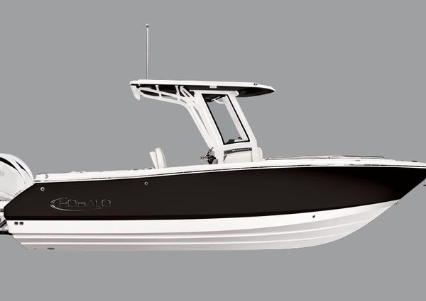 Robalo R250 image