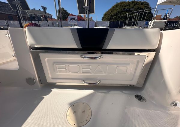 Robalo R250 image