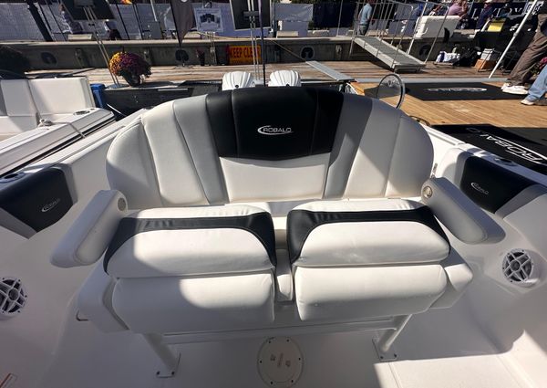 Robalo R250 image