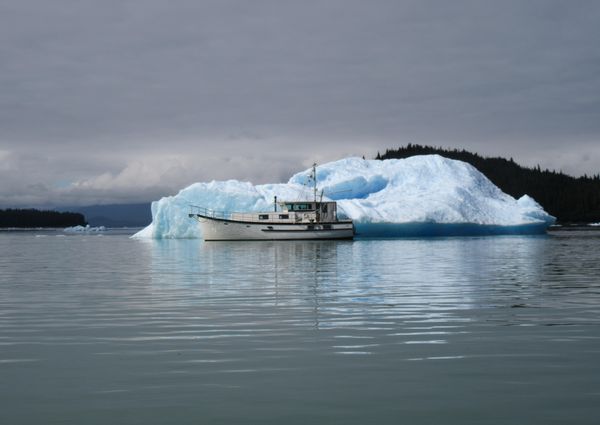 Trawler 60 image