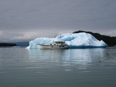 Trawler 60 image