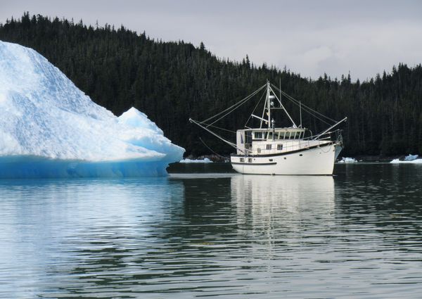 Trawler 60 image