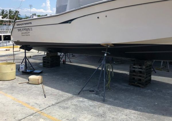 Grady-White Bimini 306 image