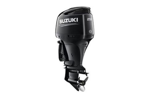 Suzuki DF250AP image