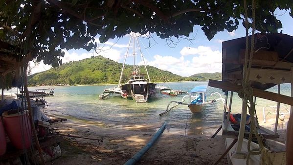 Trimaran Tribrid RD 24 image