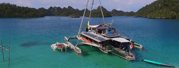 Trimaran Tribrid RD 24 image