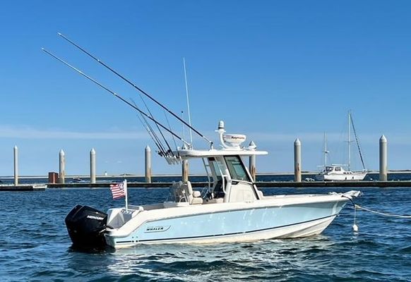 Boston-whaler 250-OUTRAGE - main image