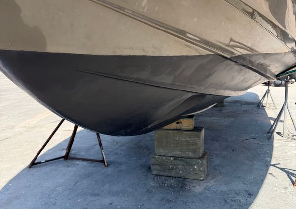 Sea Ray 370 Venture image