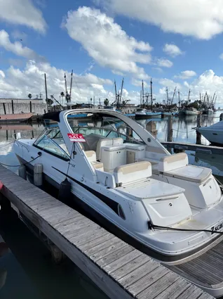 Sea Ray 370 Venture image