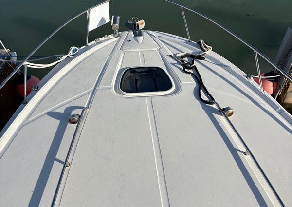 Sea Ray 370 Venture image