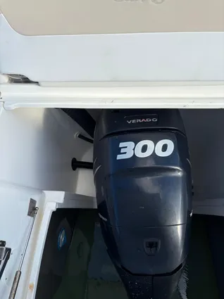 Sea Ray 370 Venture image