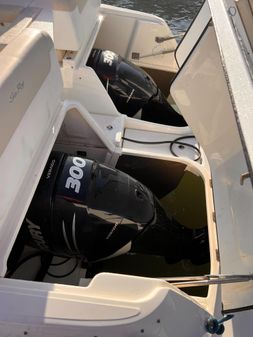 Sea Ray 370 Venture image