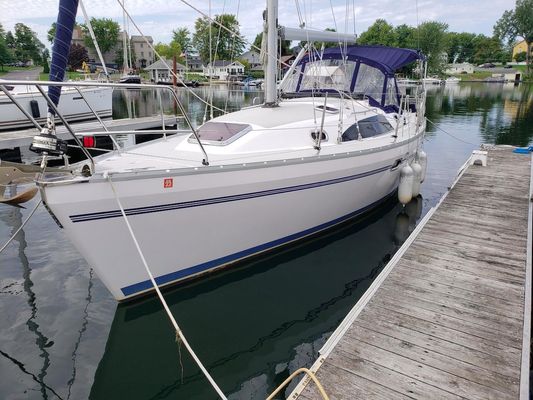 Catalina 315 - main image