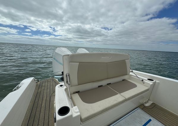 Boston-whaler 270-DAUNTLESS image