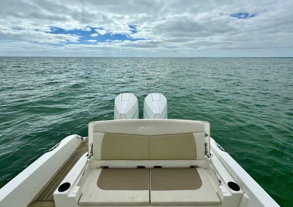 Boston-whaler 270-DAUNTLESS image