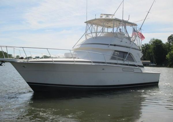 Bertram 43 Convertible image