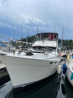 Bayliner 3818 Motoryacht image