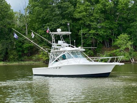 Luhrs EXPRESS-320 image