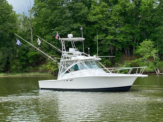 Luhrs EXPRESS-320 - main image