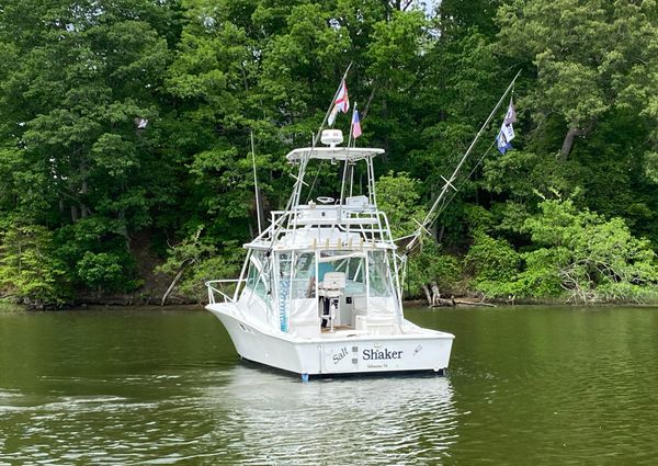 Luhrs EXPRESS-320 image