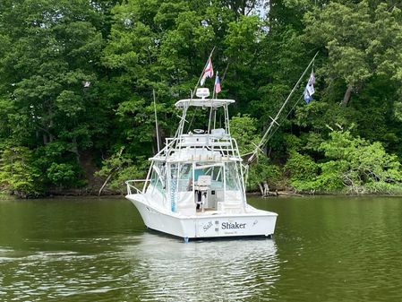 Luhrs EXPRESS-320 image