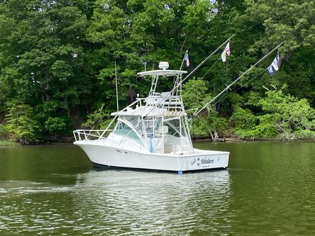 Luhrs EXPRESS-320 image