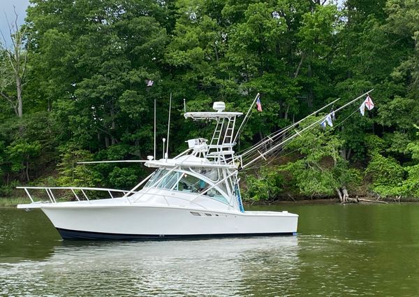 Luhrs EXPRESS-320 image