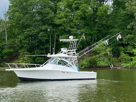 Luhrs EXPRESS-320 image