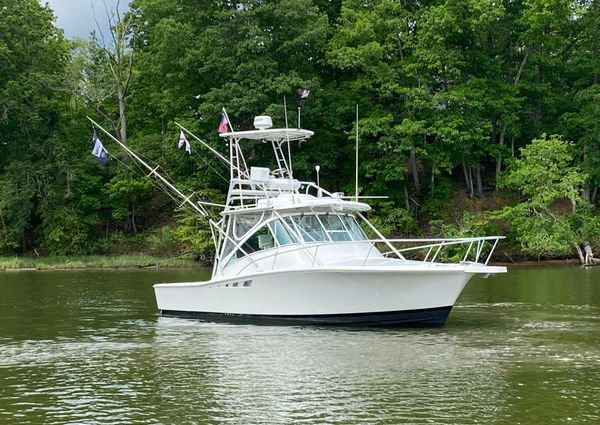 Luhrs EXPRESS-320 image